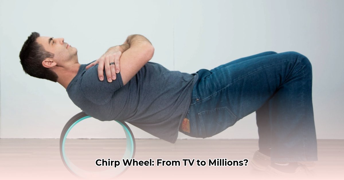 chirp-wheel-shark-tank-net-worth